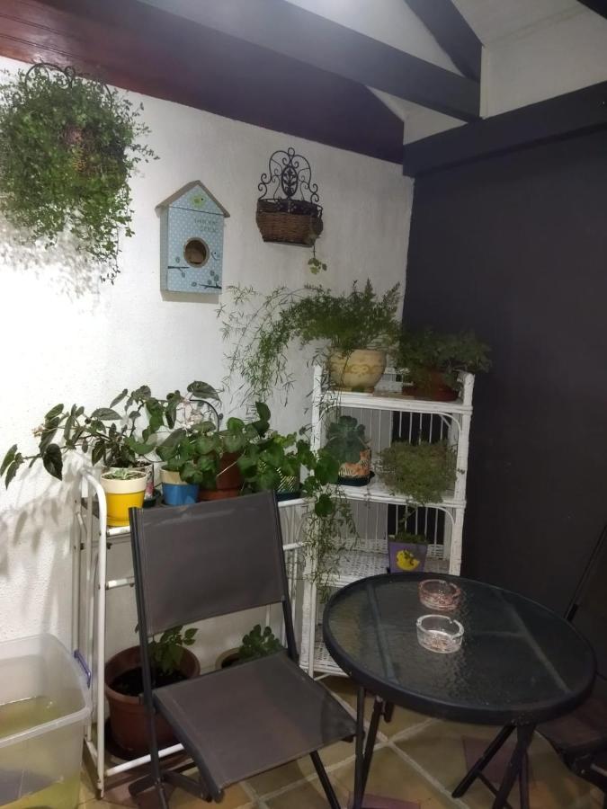 Casa Roble Anejo Bed & Breakfast ซานตาครูซ ภายนอก รูปภาพ